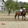Babie Lato 2016